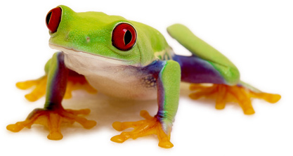 Werbeagentur Poppenhausen